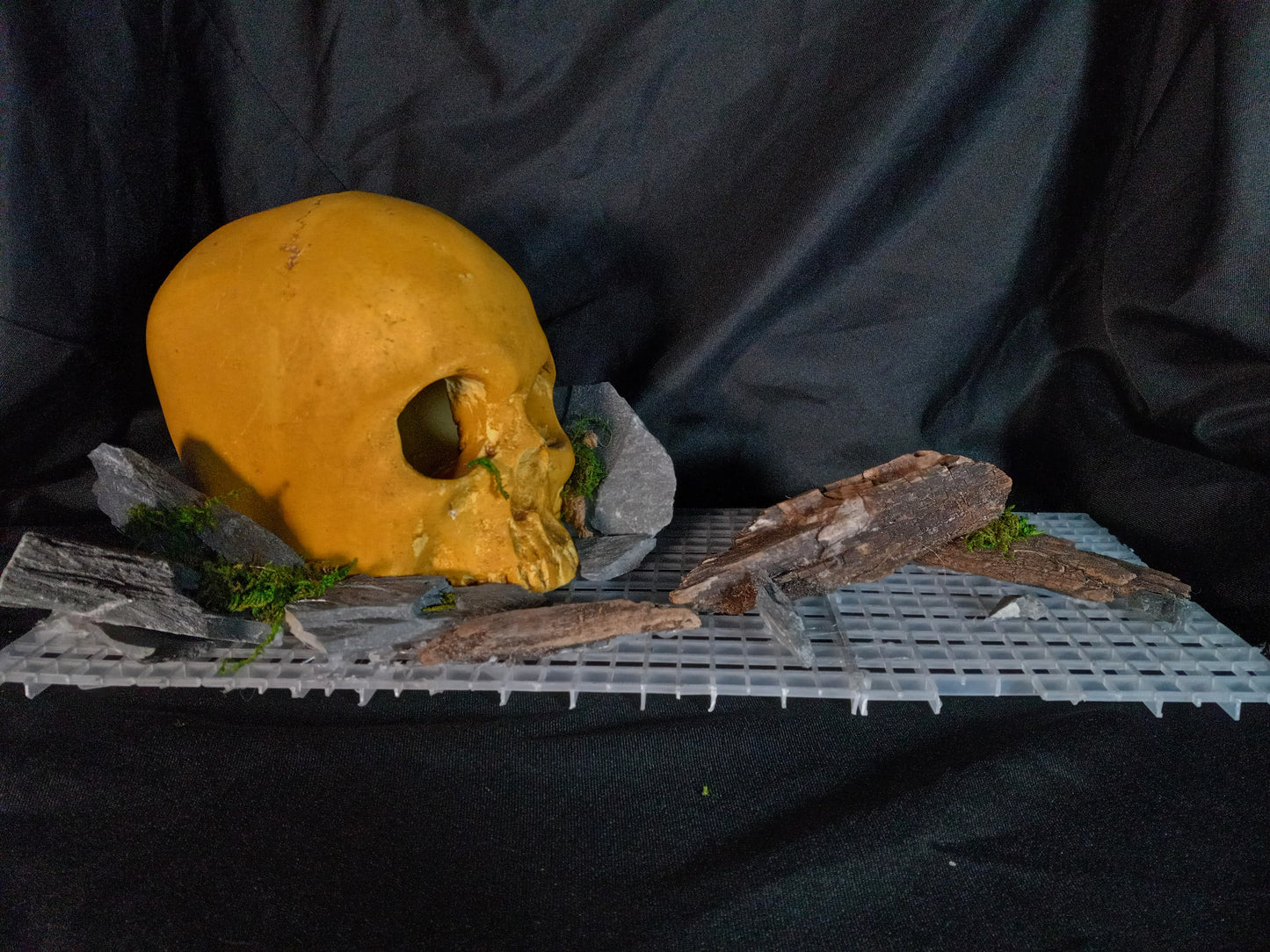 Stone Skull- 10 Gal pre-made Vivarium Scape