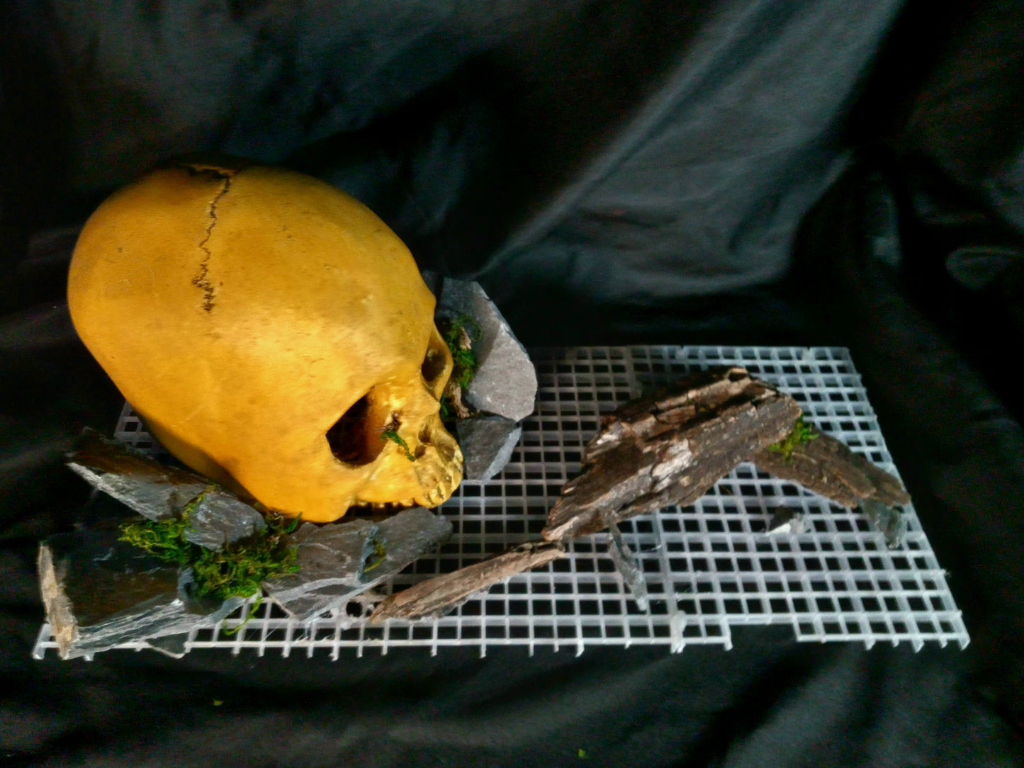 Stone Skull- 10 Gal pre-made Vivarium Scape