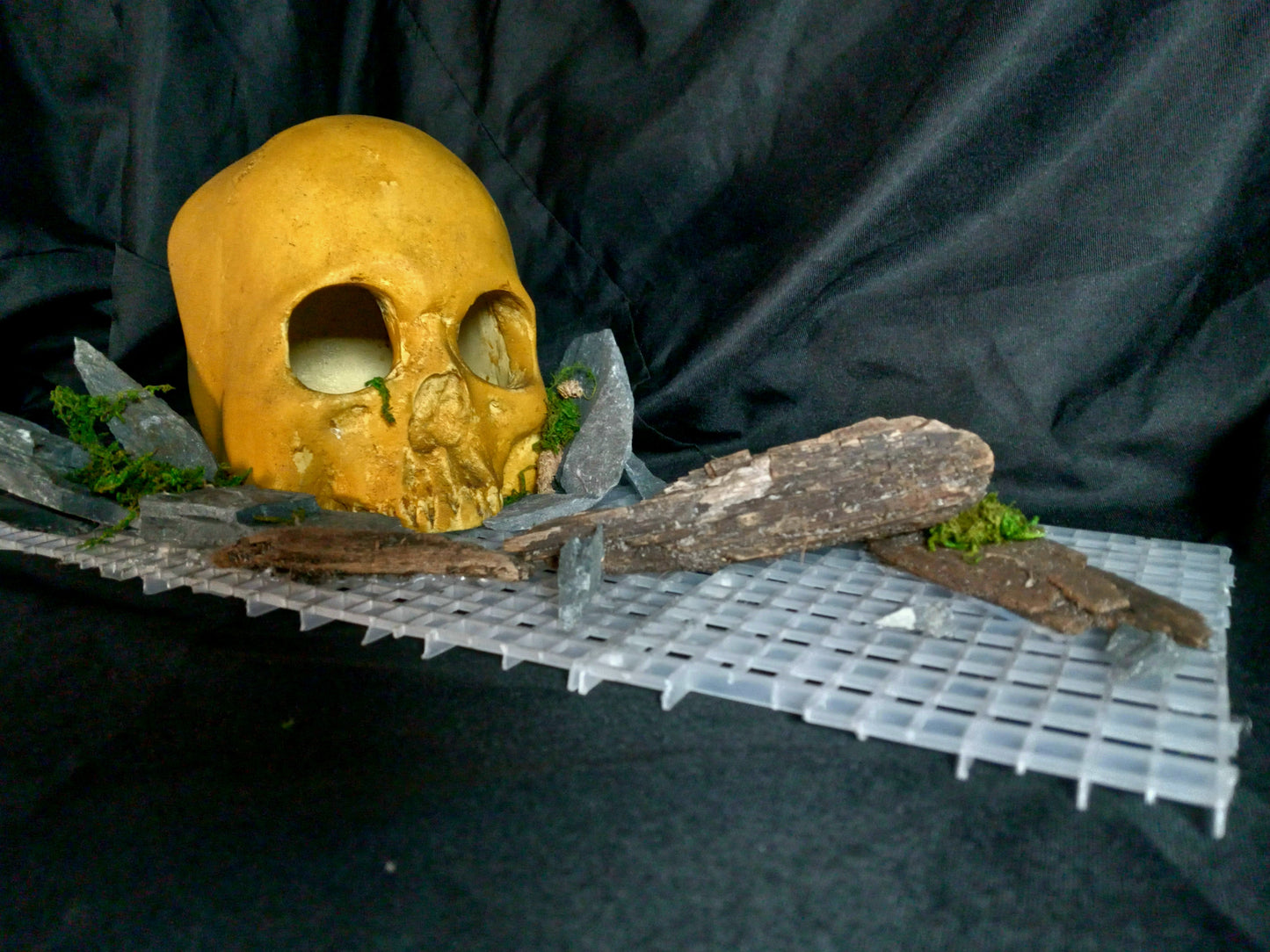Stone Skull- 10 Gal pre-made Vivarium Scape