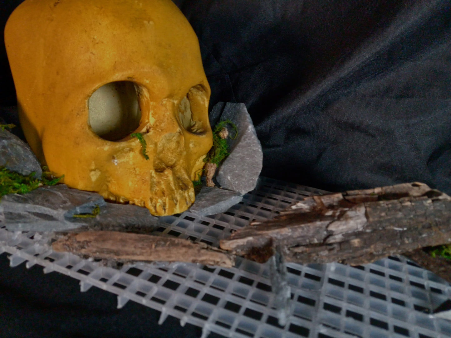 Stone Skull- 10 Gal pre-made Vivarium Scape