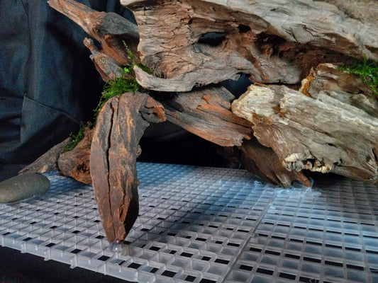 Malawi-20 Gal pre-made Aquascape