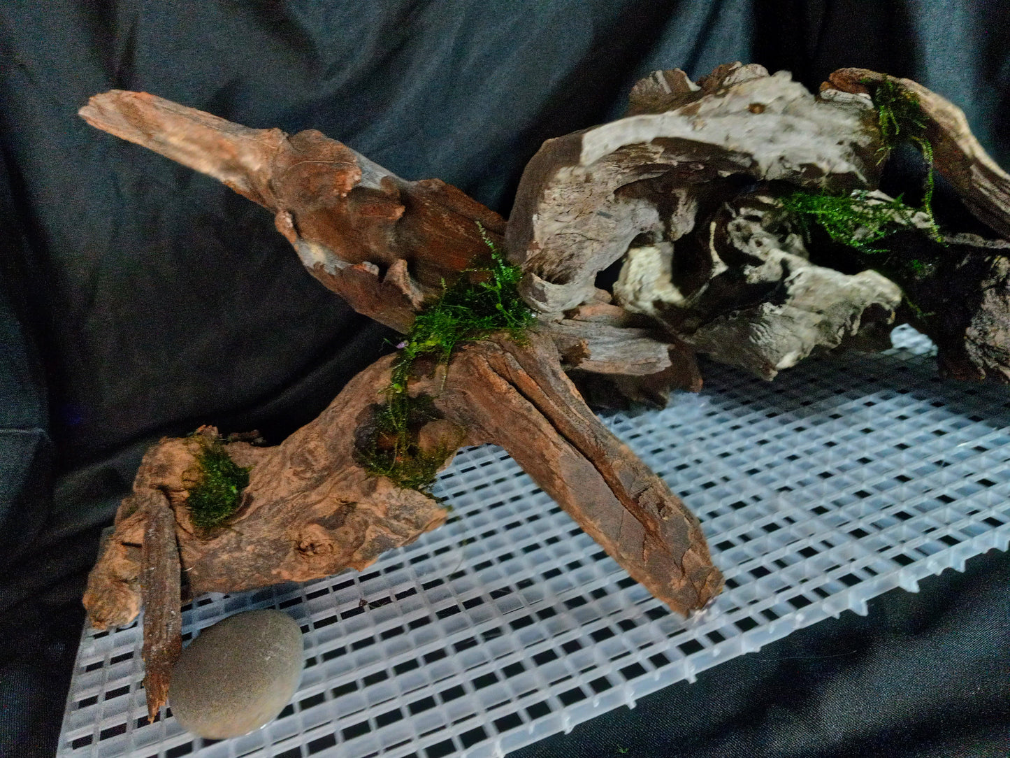 Malawi-20 Gal pre-made Aquascape