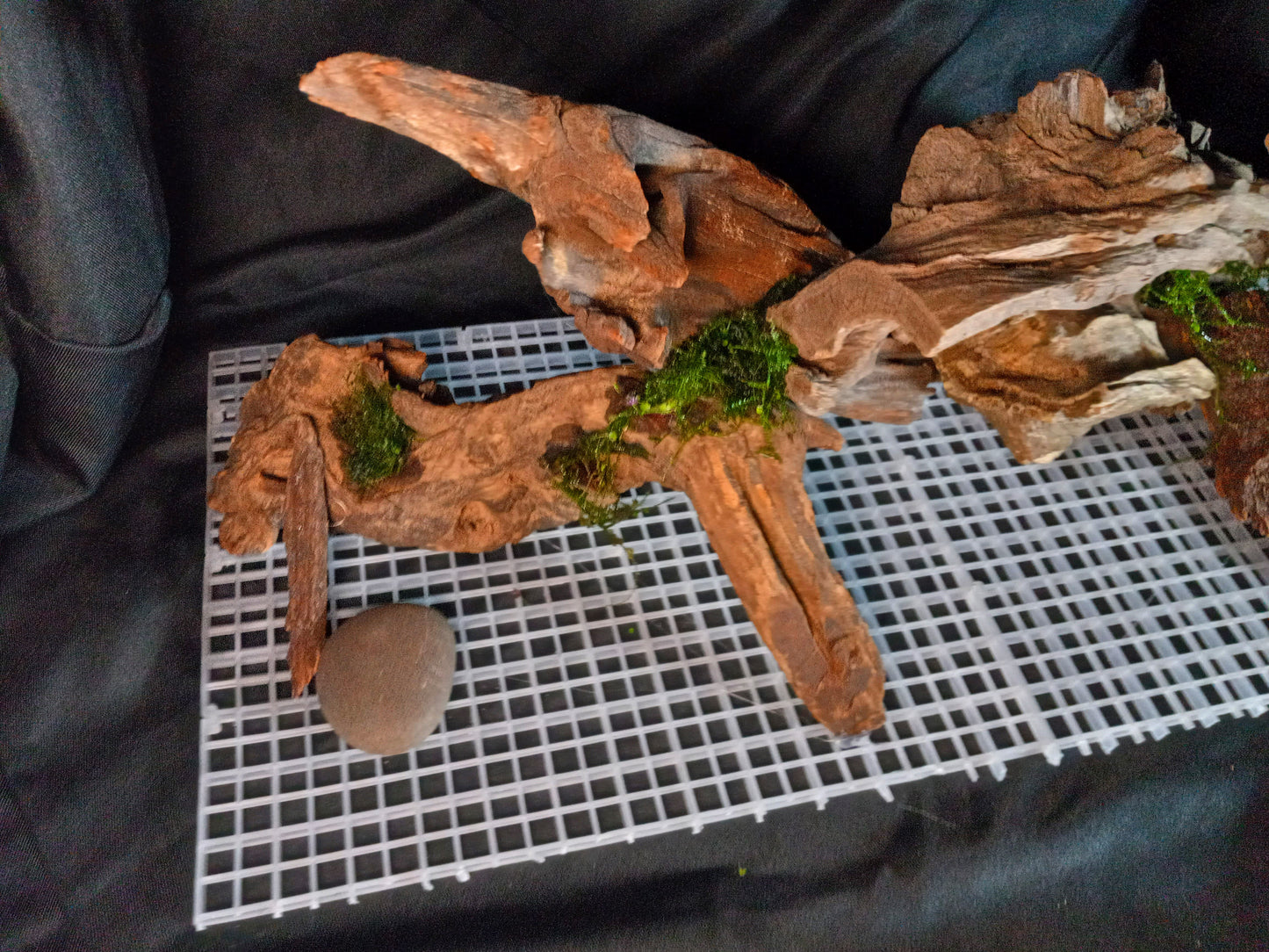 Malawi-20 Gal pre-made Aquascape