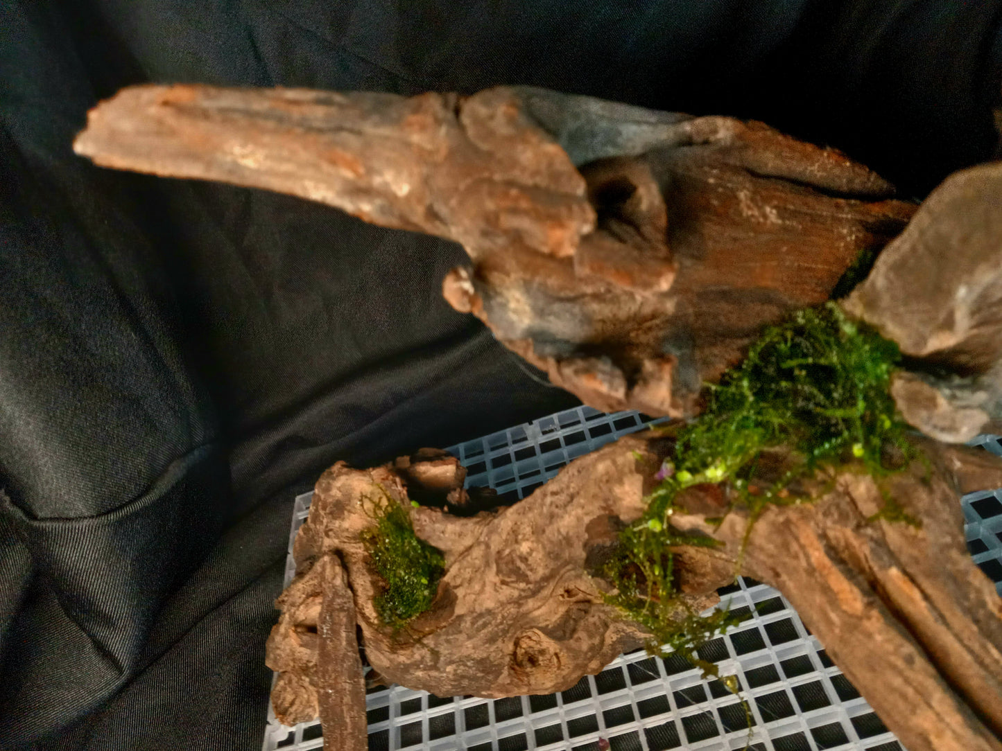 Malawi-20 Gal pre-made Aquascape