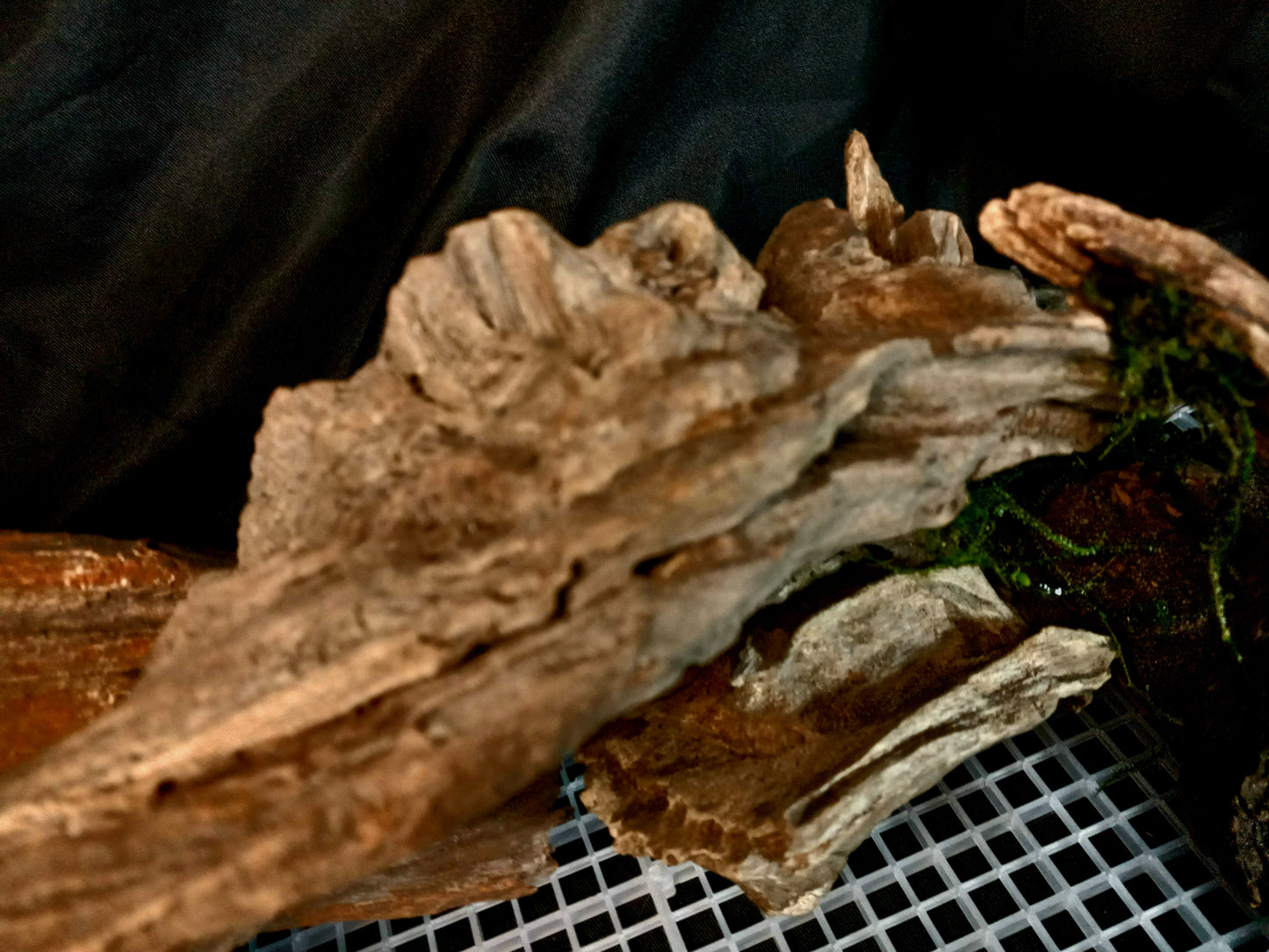 Malawi-20 Gal pre-made Aquascape