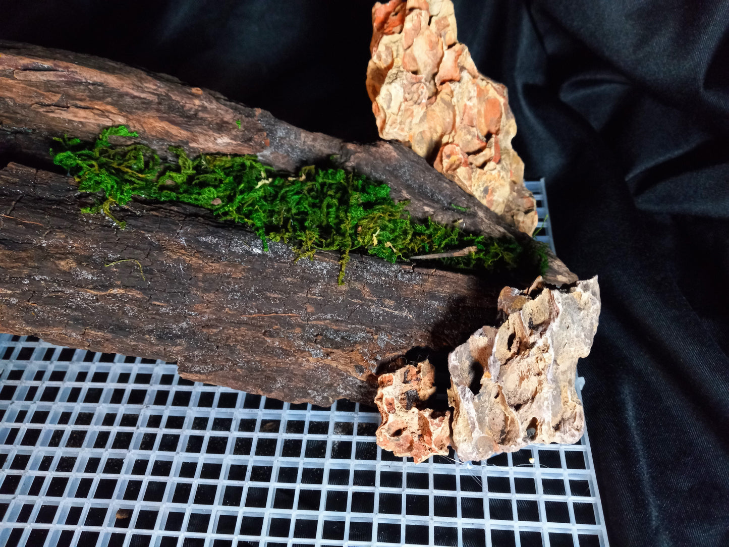 Mopani Grotto- 20 Gal pre-made Vivarium Scape