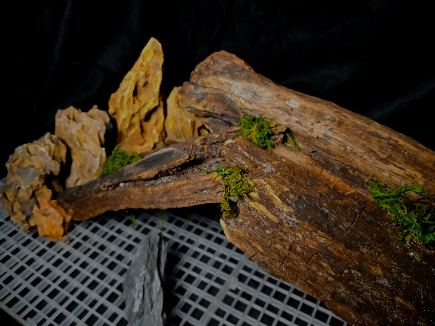 Mopani Grotto- 20 Gal pre-made Vivarium Scape