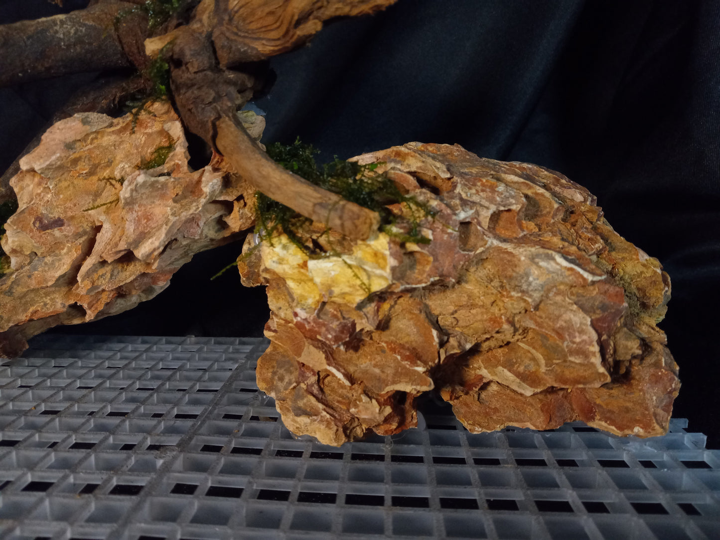 Dragon's Root-10 Gal pre-made Aquascape