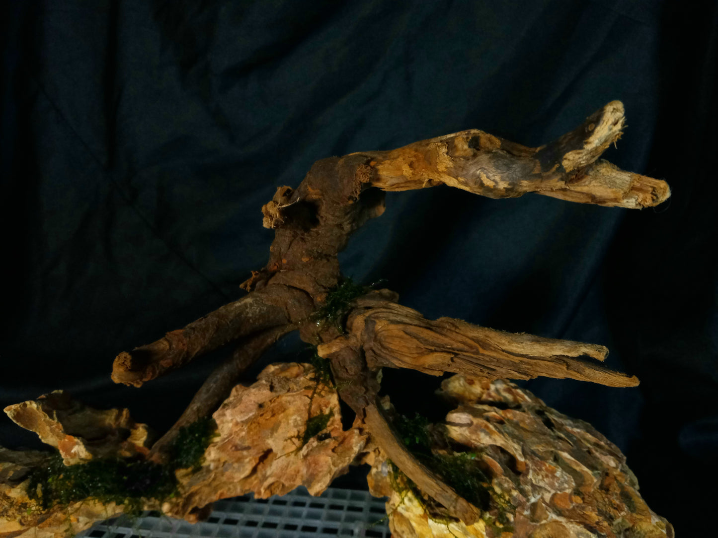 Dragon's Root-10 Gal pre-made Aquascape