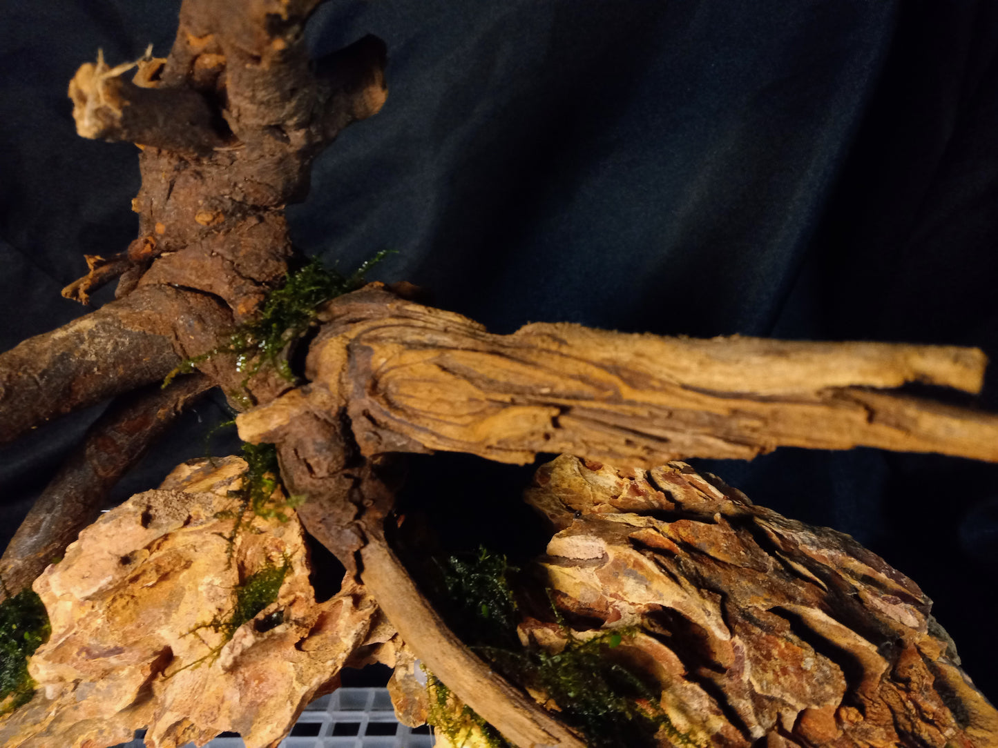 Dragon's Root-10 Gal pre-made Aquascape