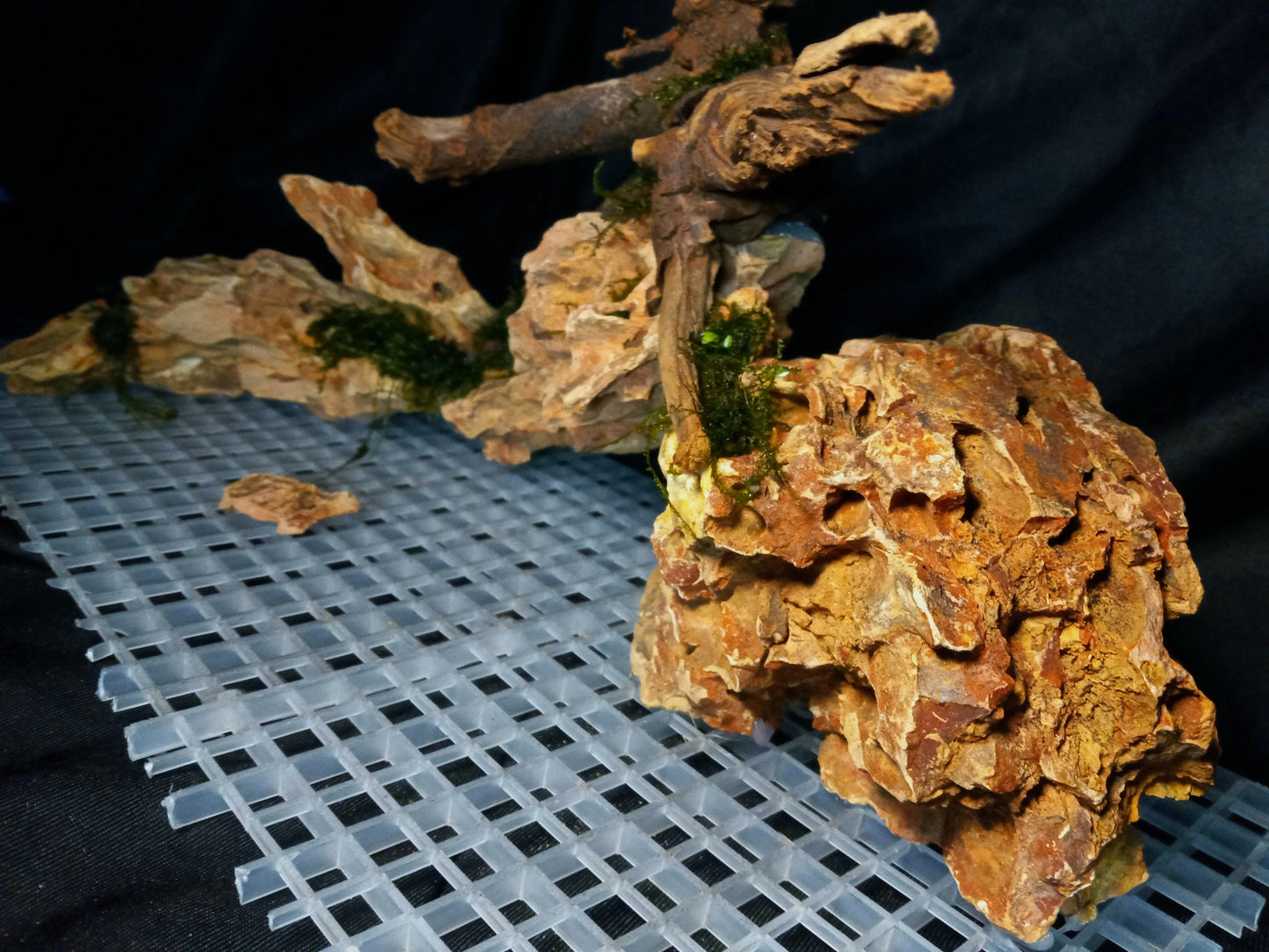 Dragon's Root-10 Gal pre-made Aquascape