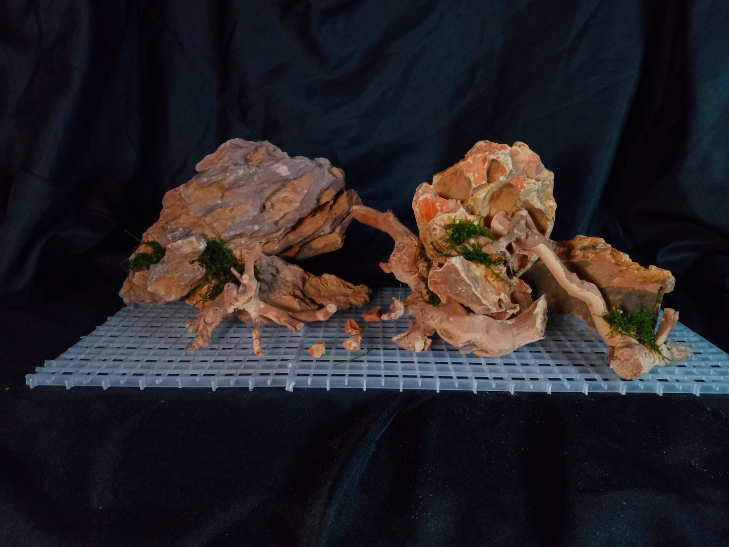Ember Ridge 10 Gal pre-made Aquascape
