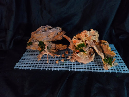 Ember Ridge 10 Gal pre-made Aquascape