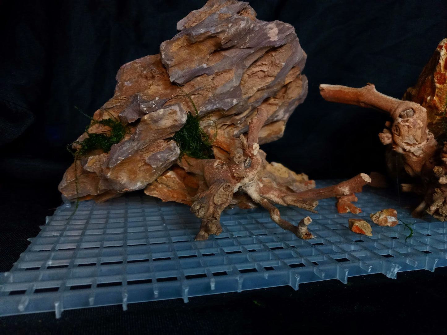 Ember Ridge 10 Gal pre-made Aquascape