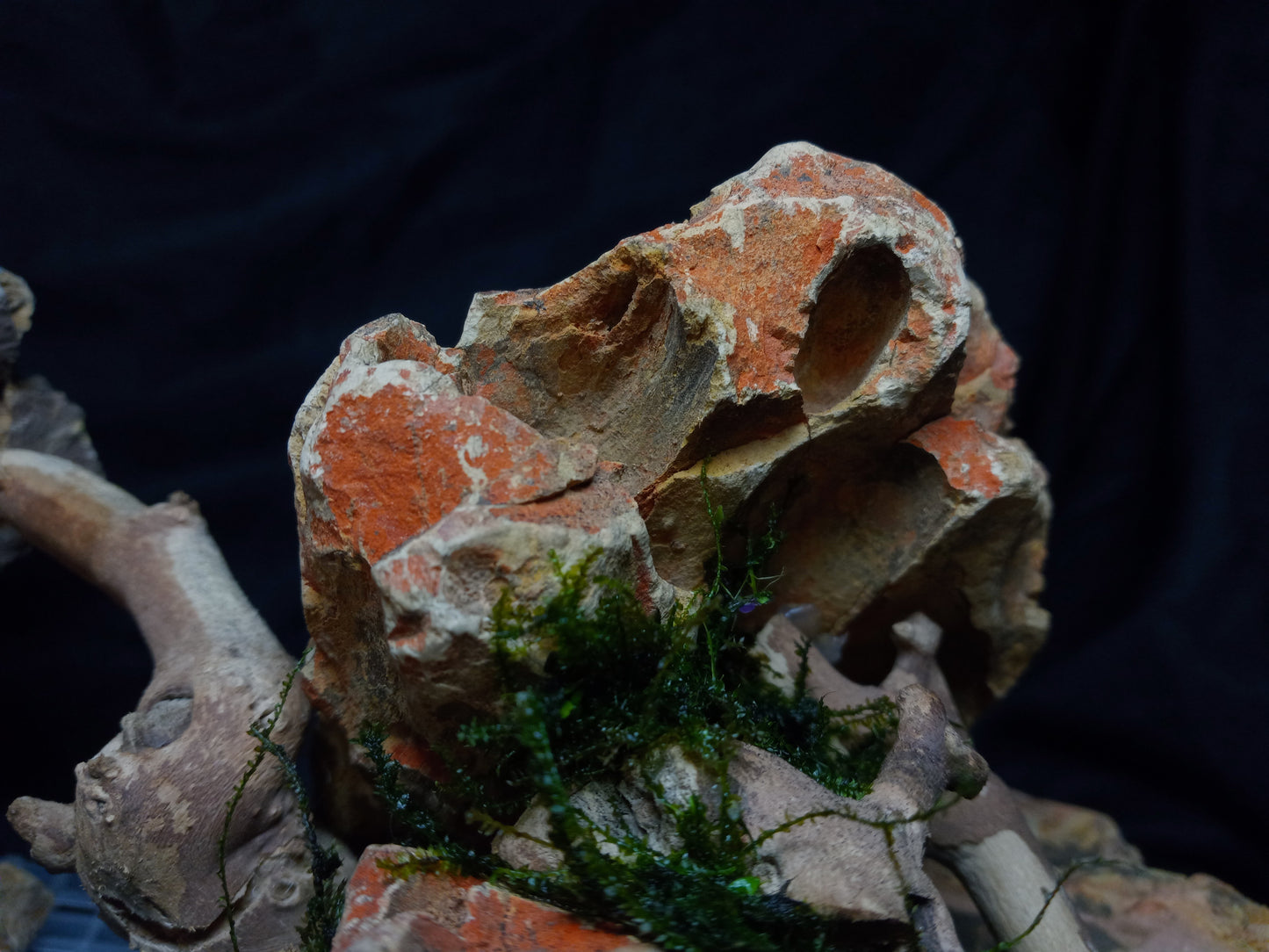 Ember Ridge 10 Gal pre-made Aquascape