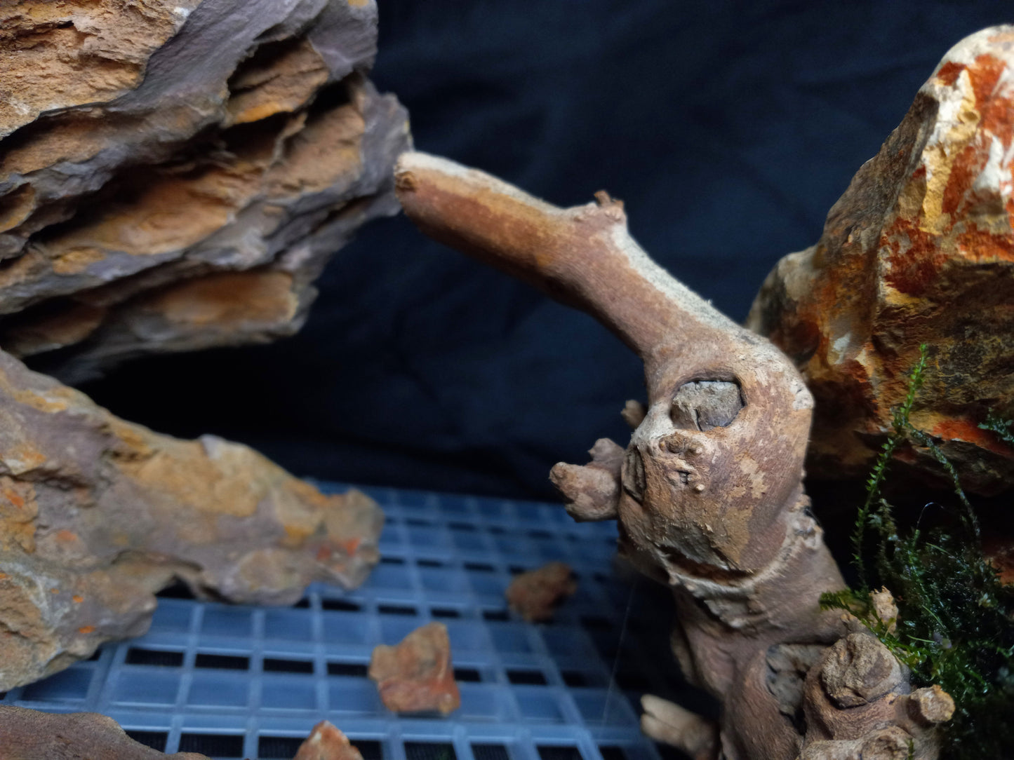 Ember Ridge 10 Gal pre-made Aquascape