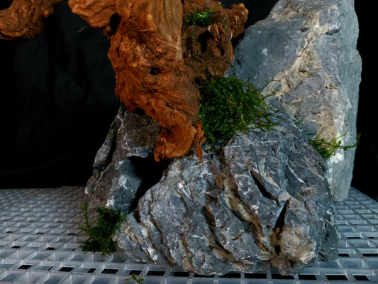 Drifting Arch-10 Gal pre-made Aquascape