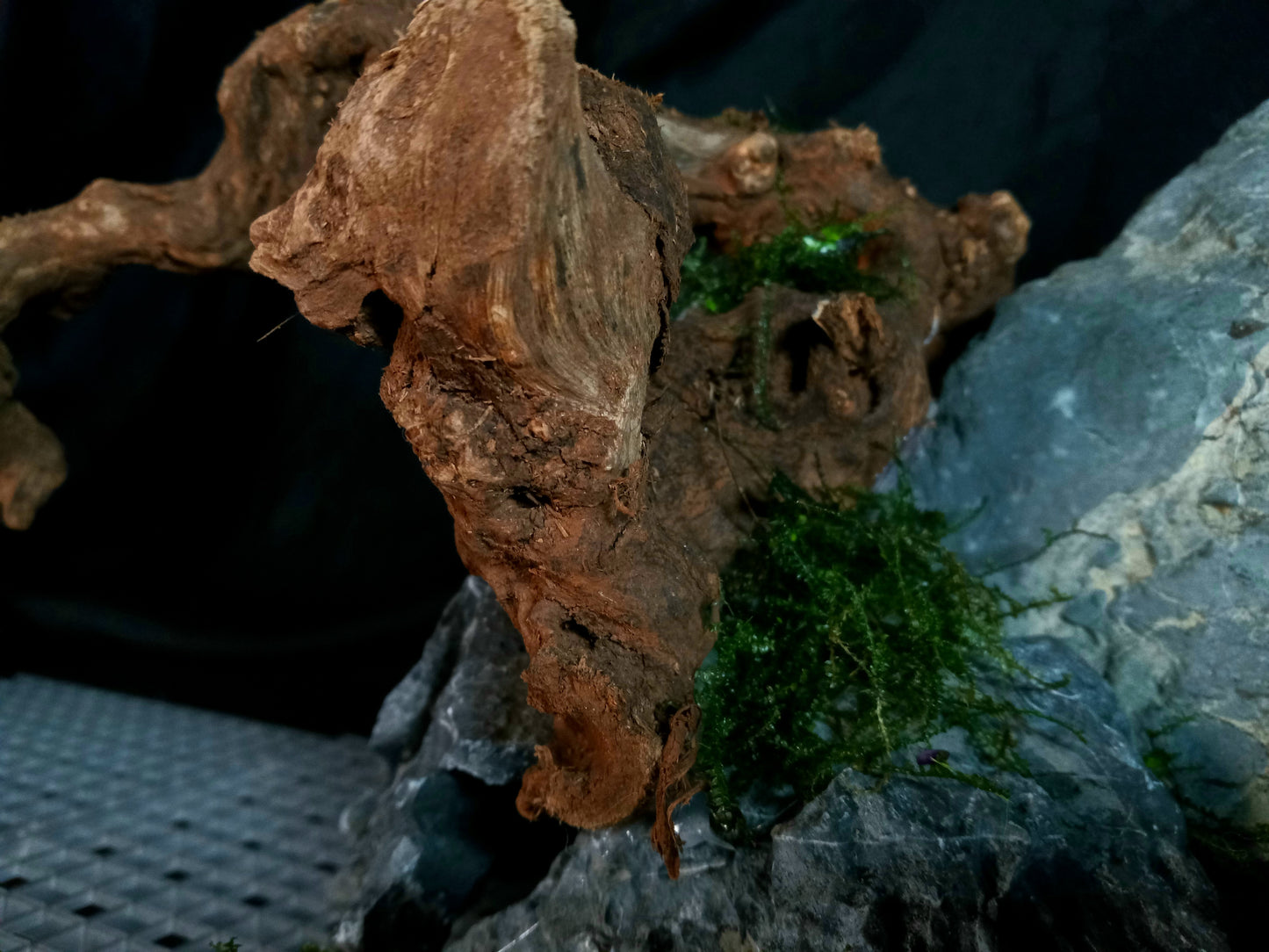Drifting Arch-10 Gal pre-made Aquascape
