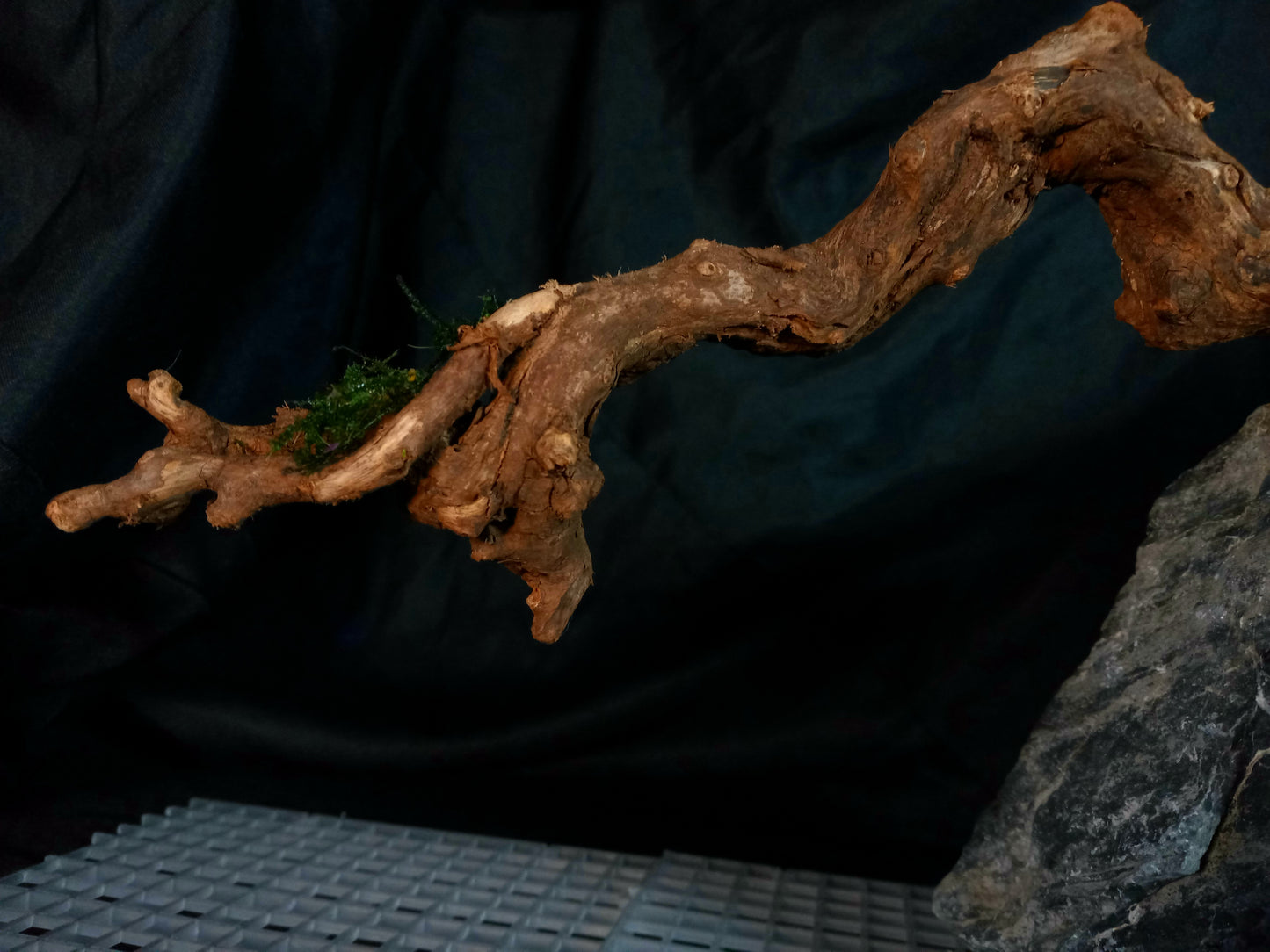 Drifting Arch-10 Gal pre-made Aquascape