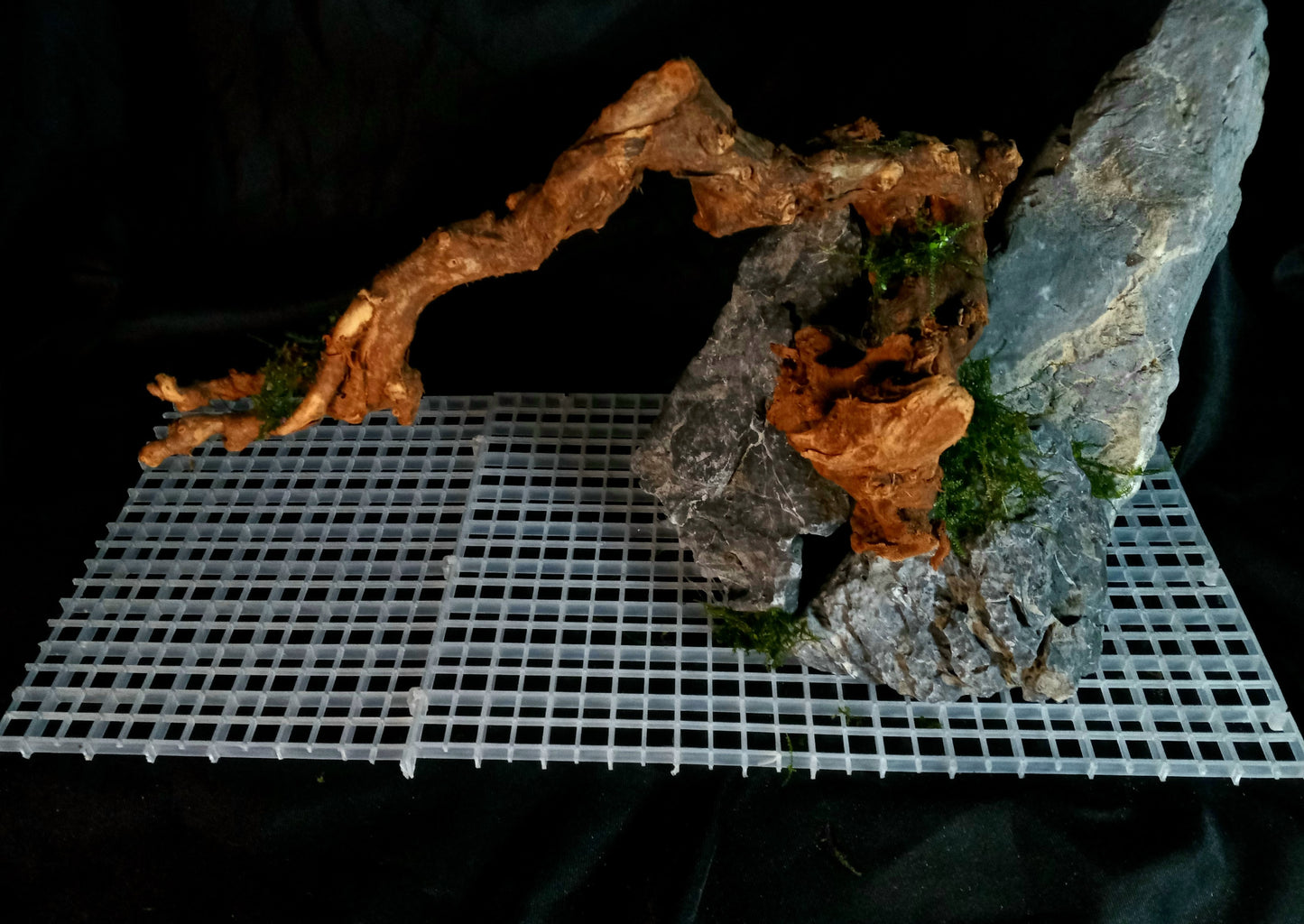 Drifting Arch-10 Gal pre-made Aquascape