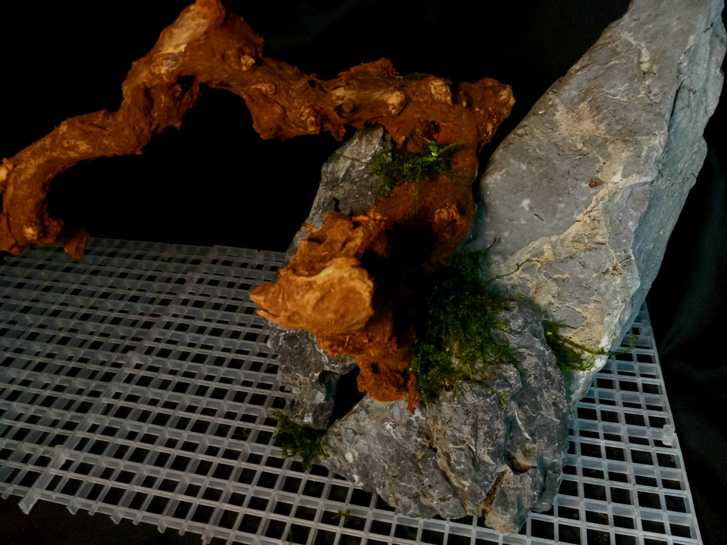 Drifting Arch-10 Gal pre-made Aquascape