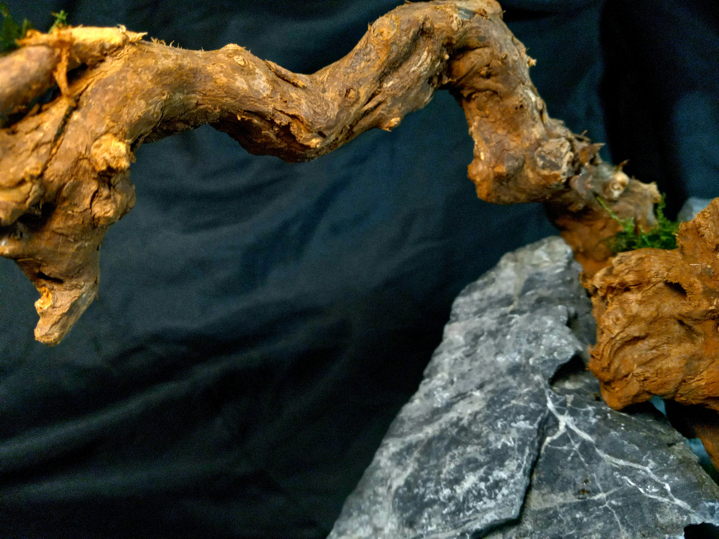 Drifting Arch-10 Gal pre-made Aquascape