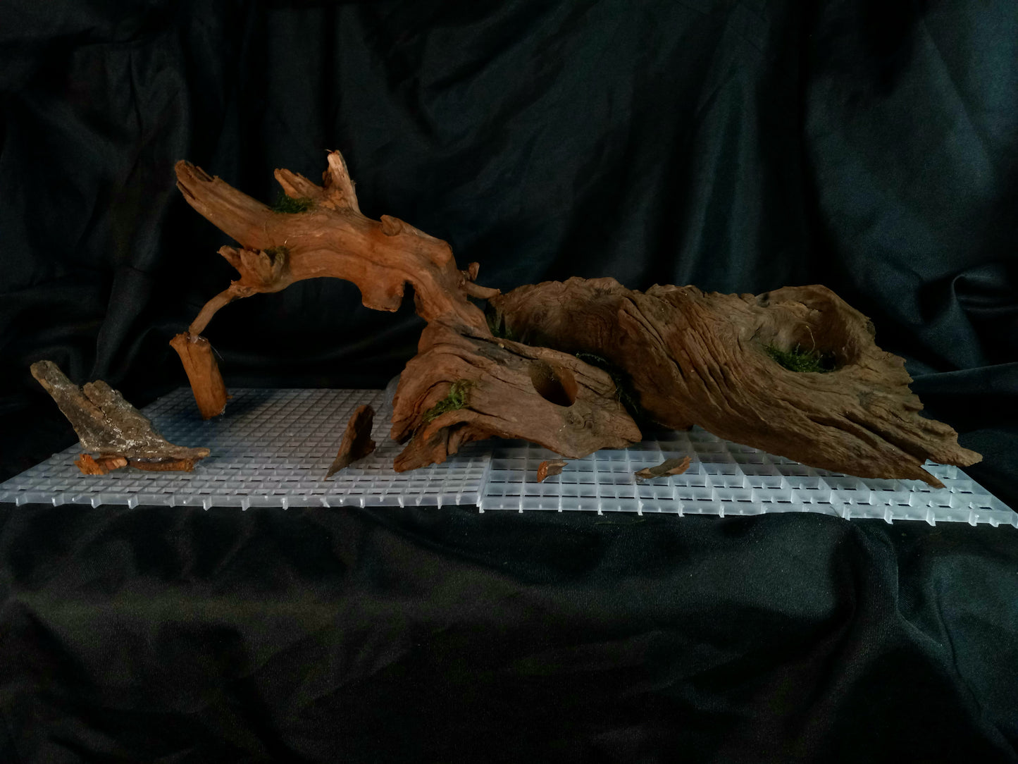 Timber Arc- 20 Gal pre-made Aquascape