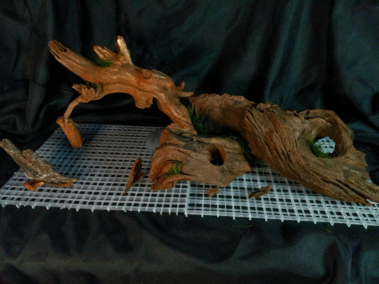 Timber Arc- 20 Gal pre-made Aquascape