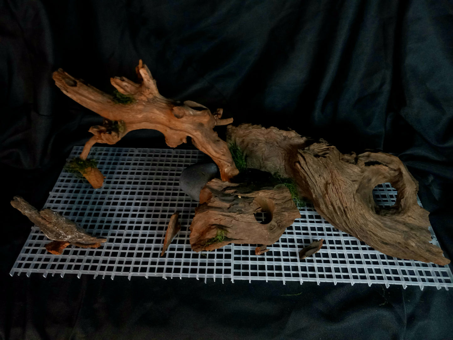 Timber Arc- 20 Gal pre-made Aquascape