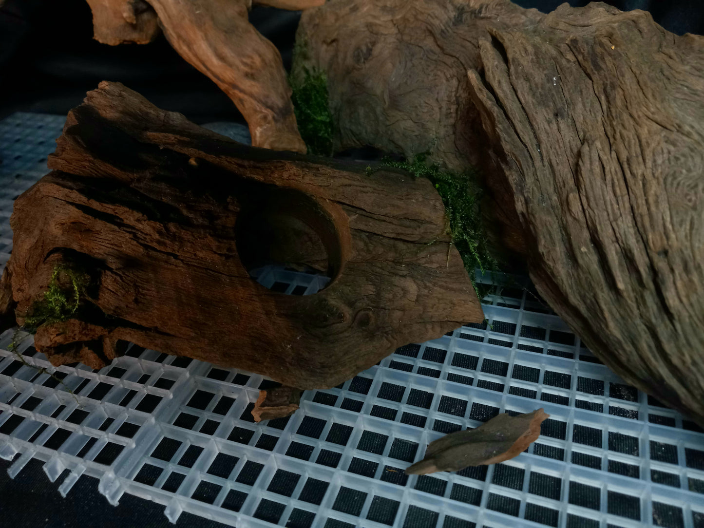 Timber Arc- 20 Gal pre-made Aquascape