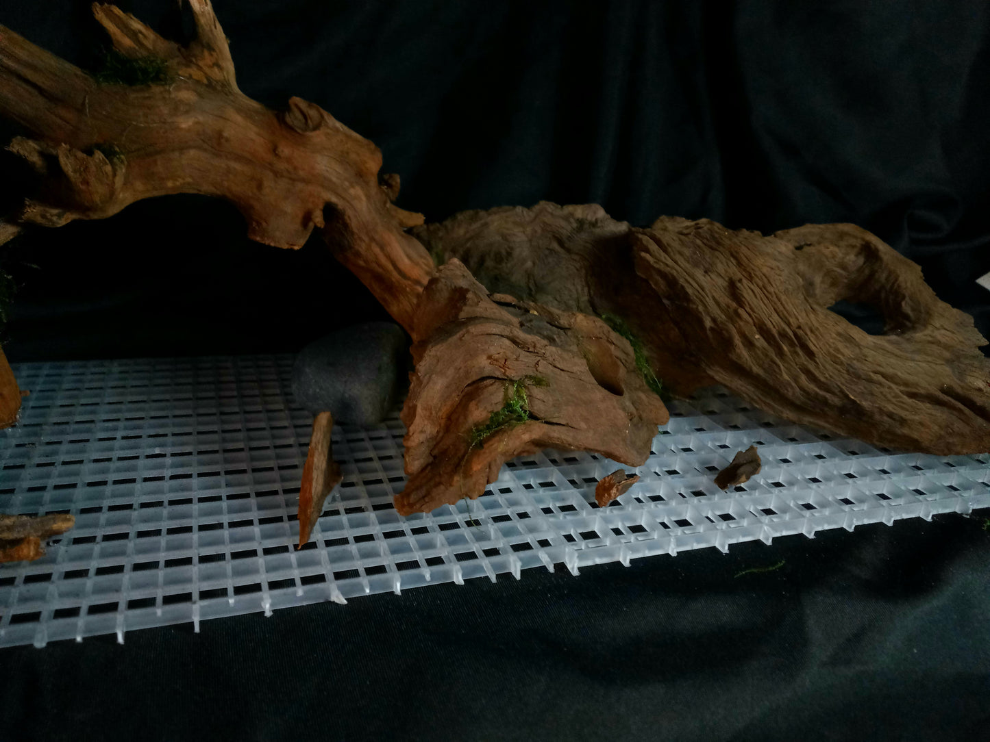 Timber Arc- 20 Gal pre-made Aquascape
