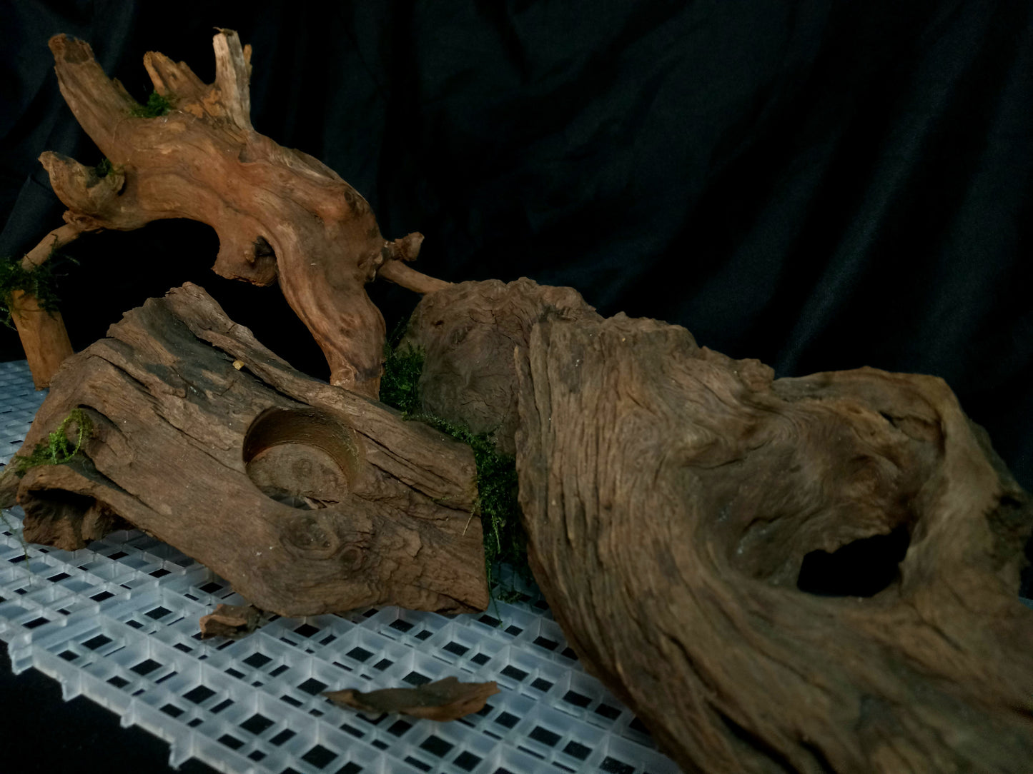 Timber Arc- 20 Gal pre-made Aquascape