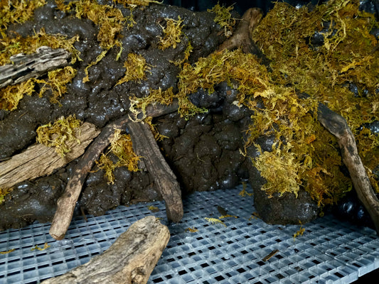 Mosswood Cavern (Background Included)- 20 Gal pre-made Vivarium Scape