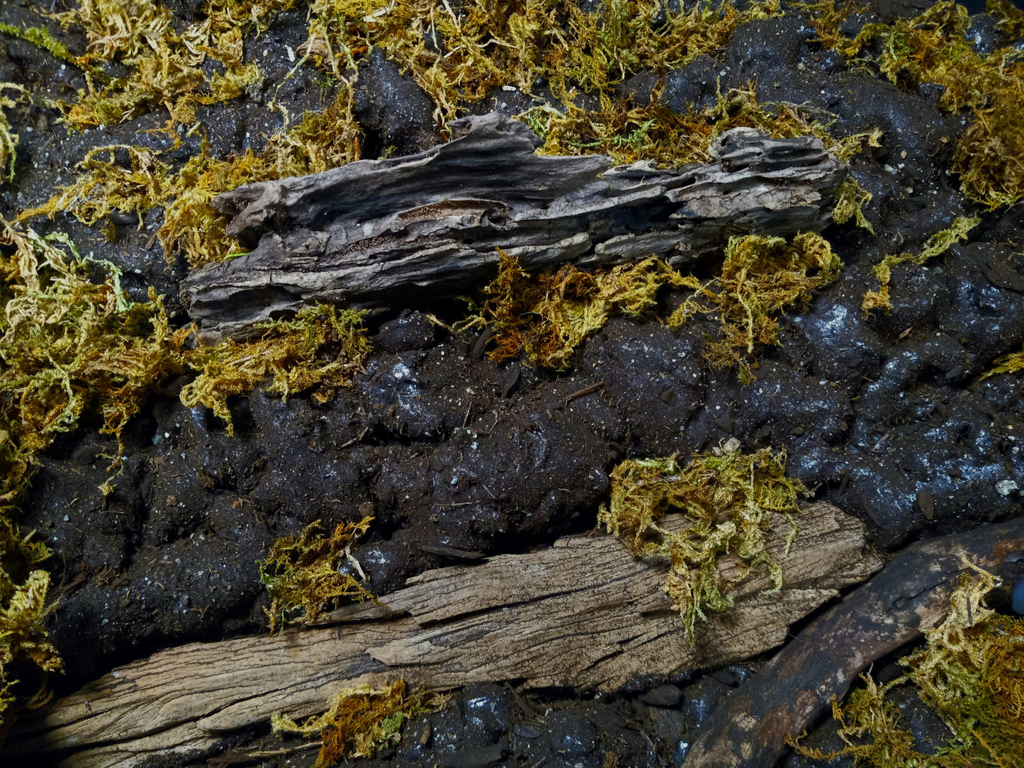 Mosswood Cavern (Background Included)- 20 Gal pre-made Vivarium Scape