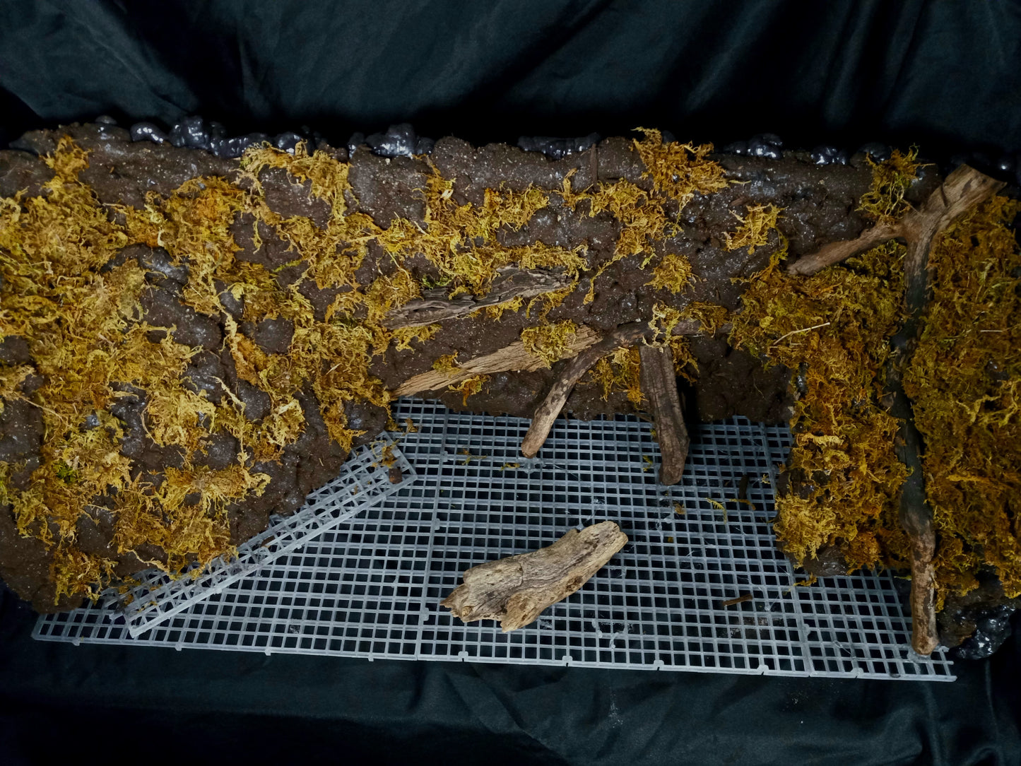 Mosswood Cavern (Background Included)- 20 Gal pre-made Vivarium Scape