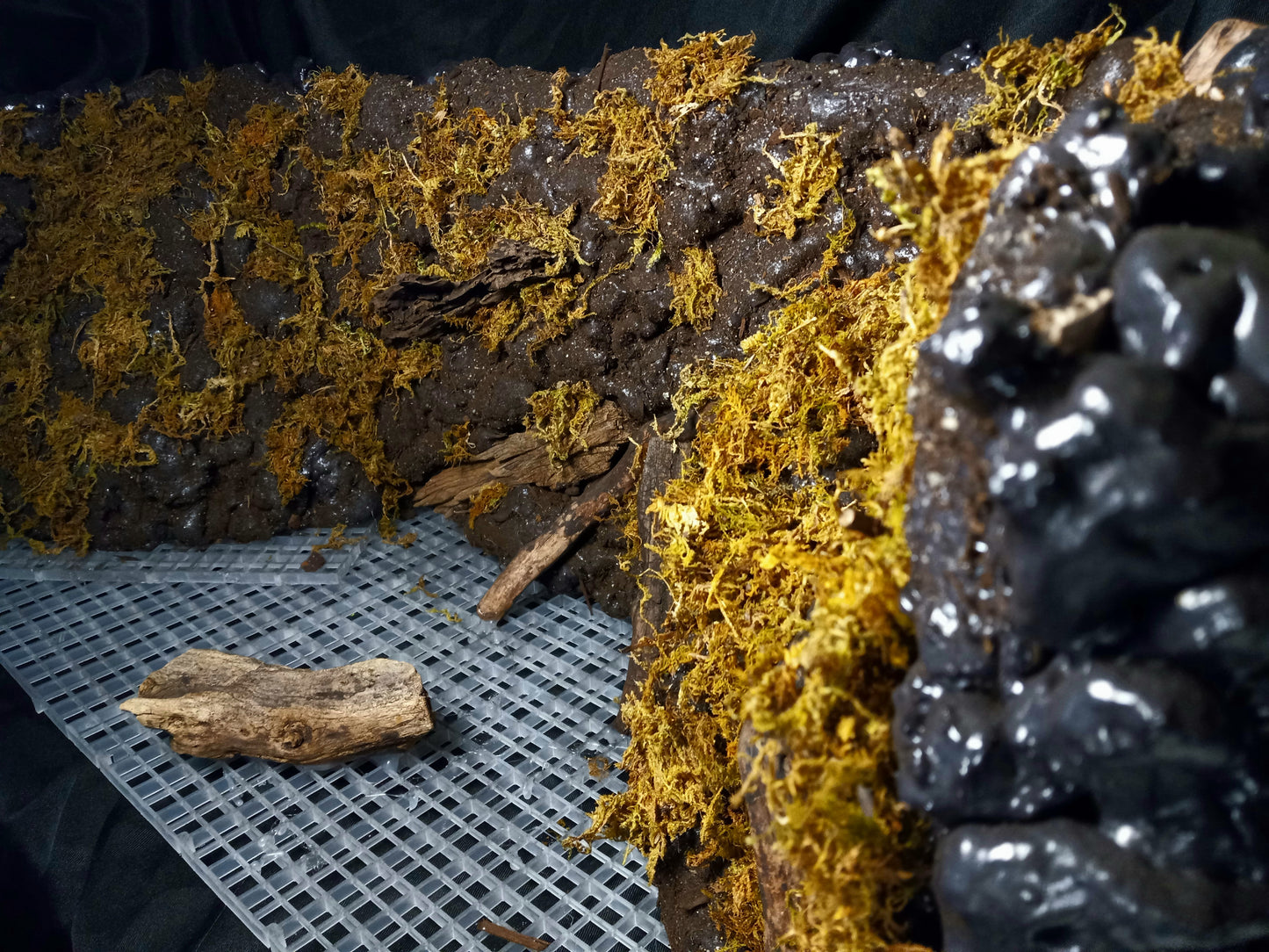 Mosswood Cavern (Background Included)- 20 Gal pre-made Vivarium Scape