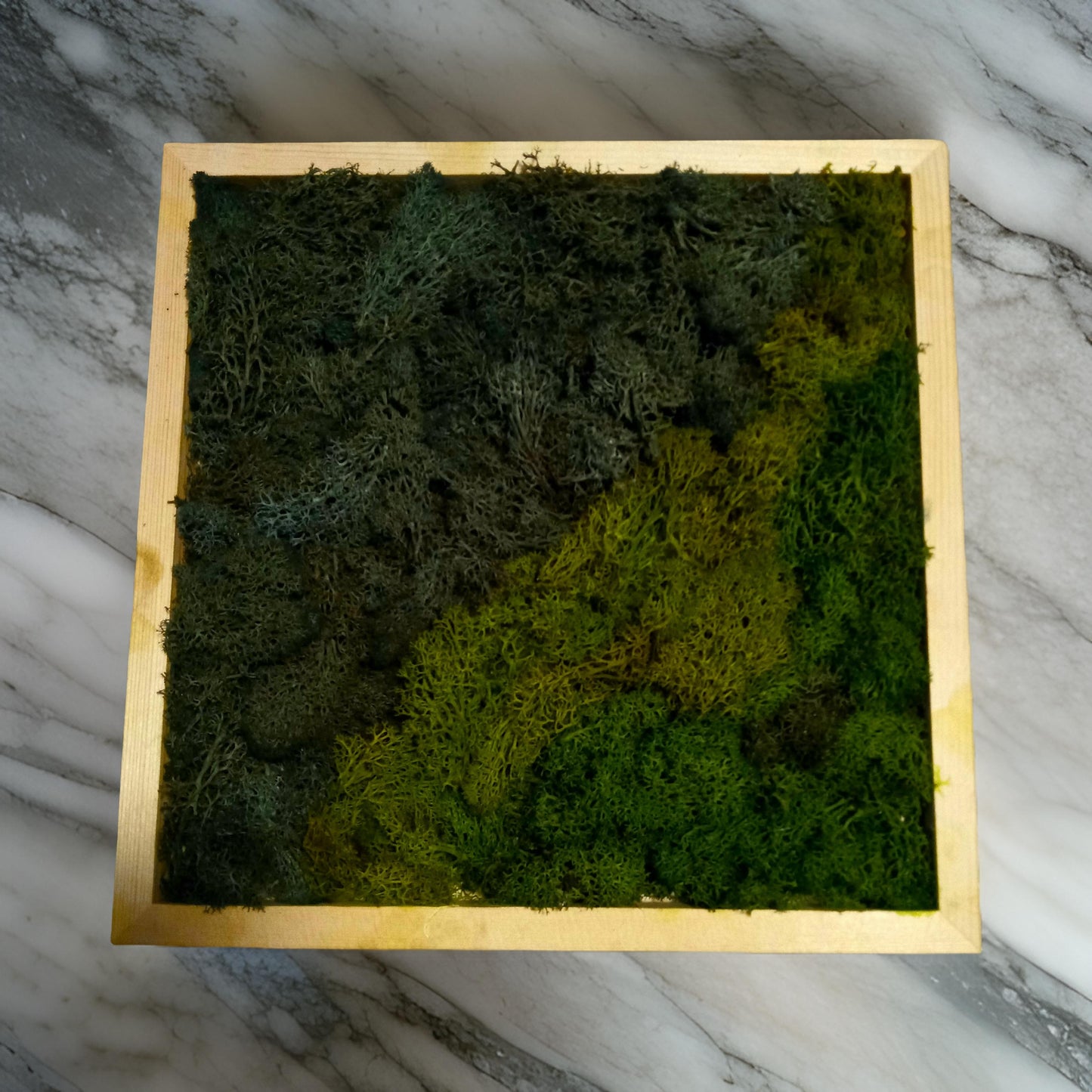 Classic Framed Moss Wall