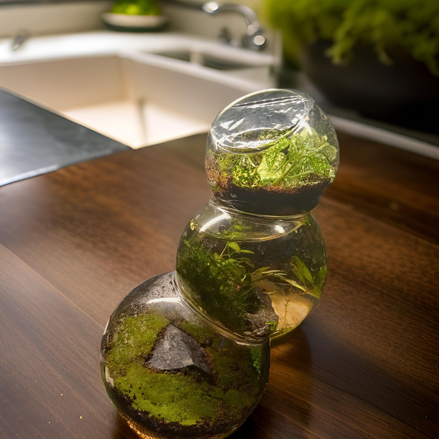 The Bubblarium