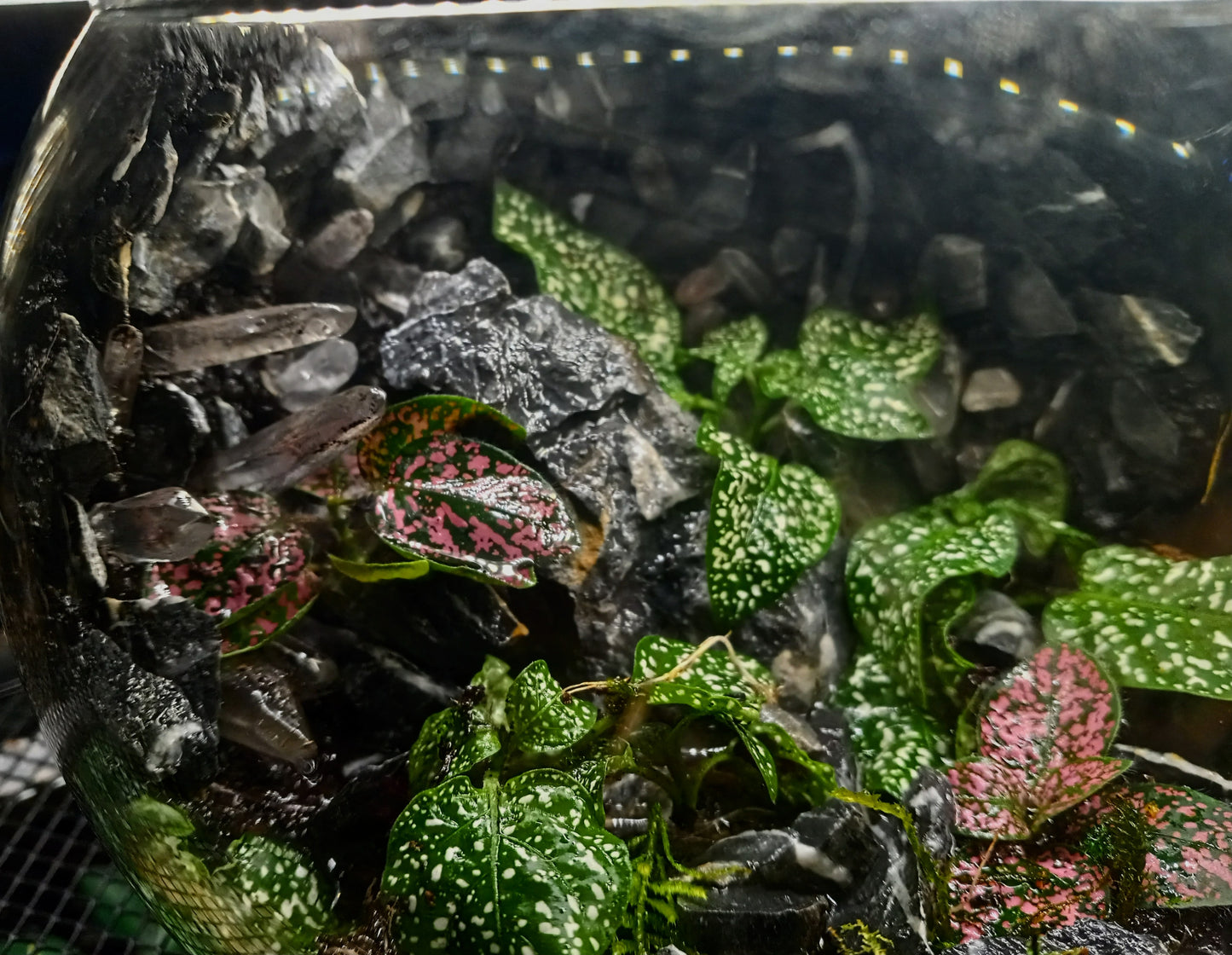 Quartz Cavern