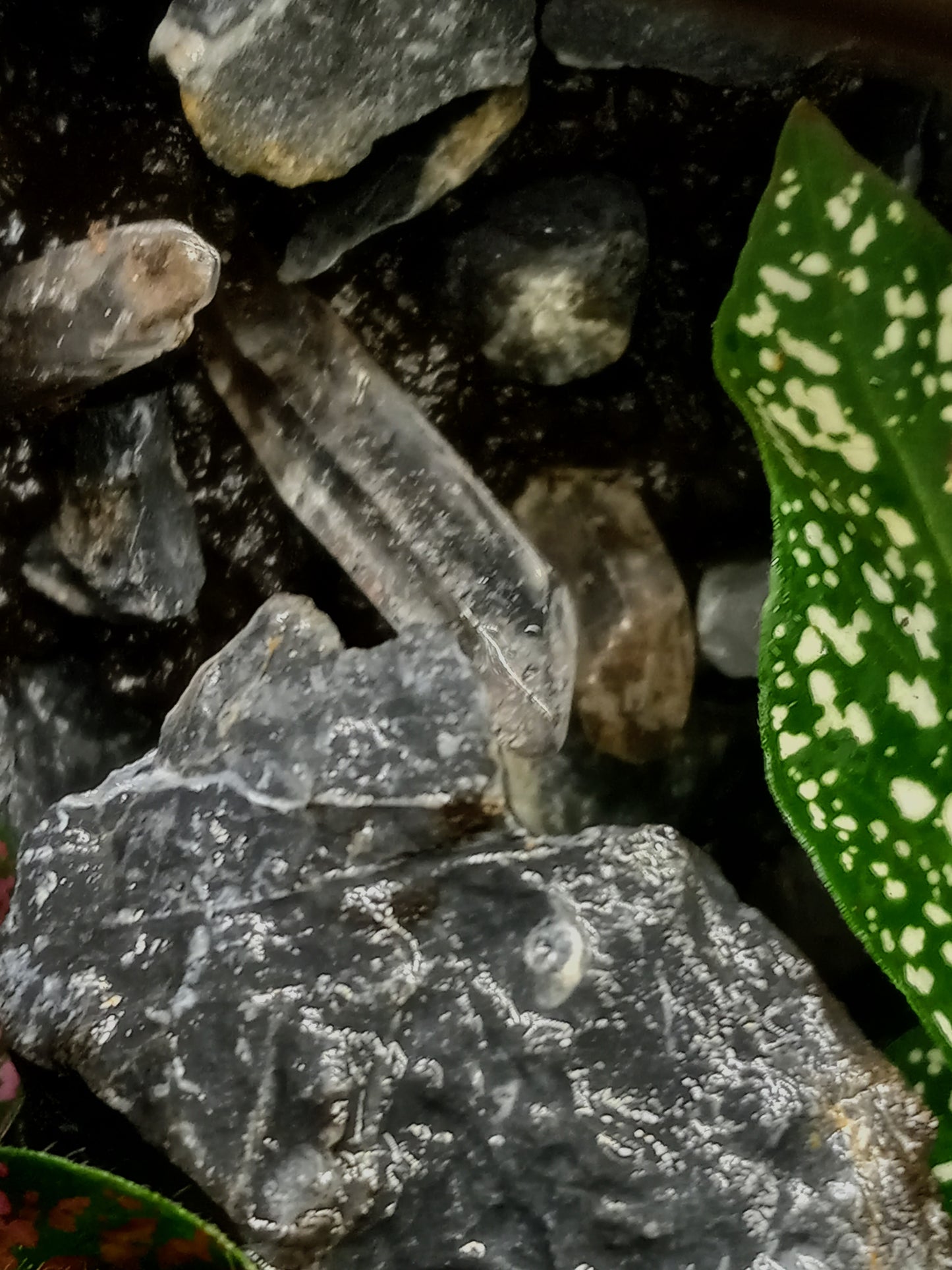 Quartz Cavern