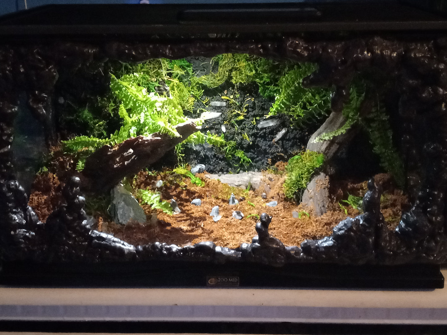 Lascaux- Full Pre-made 10 Gal Vivarium Scape (Tank Included)