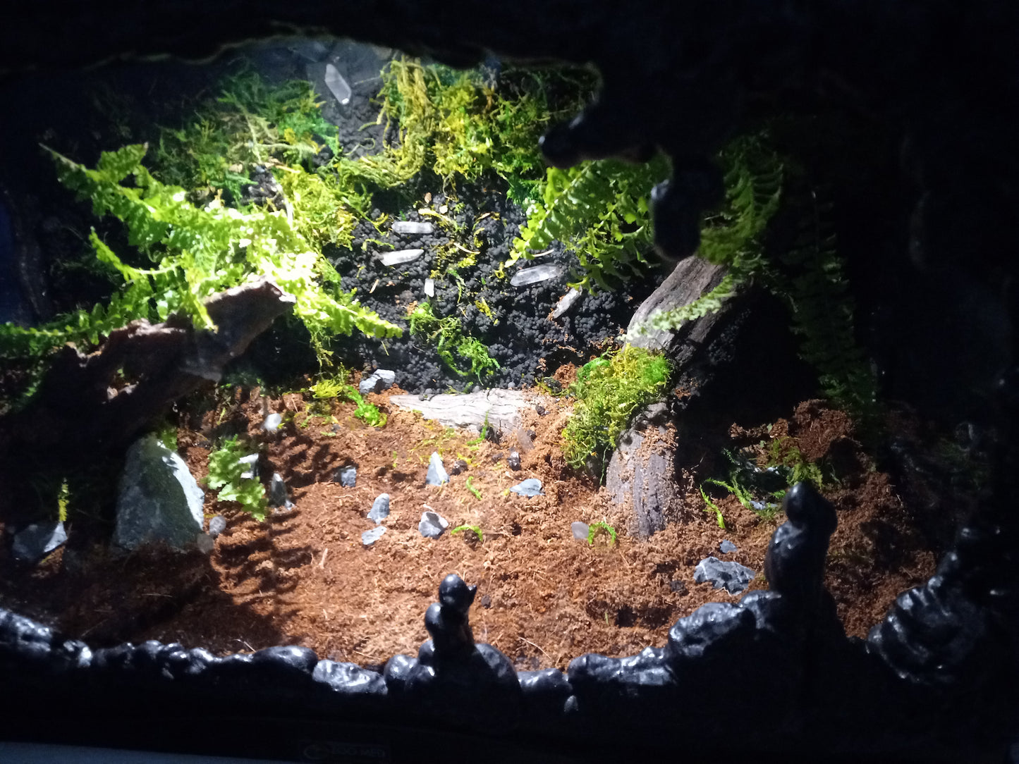 Lascaux- Full Pre-made 10 Gal Vivarium Scape (Tank Included)