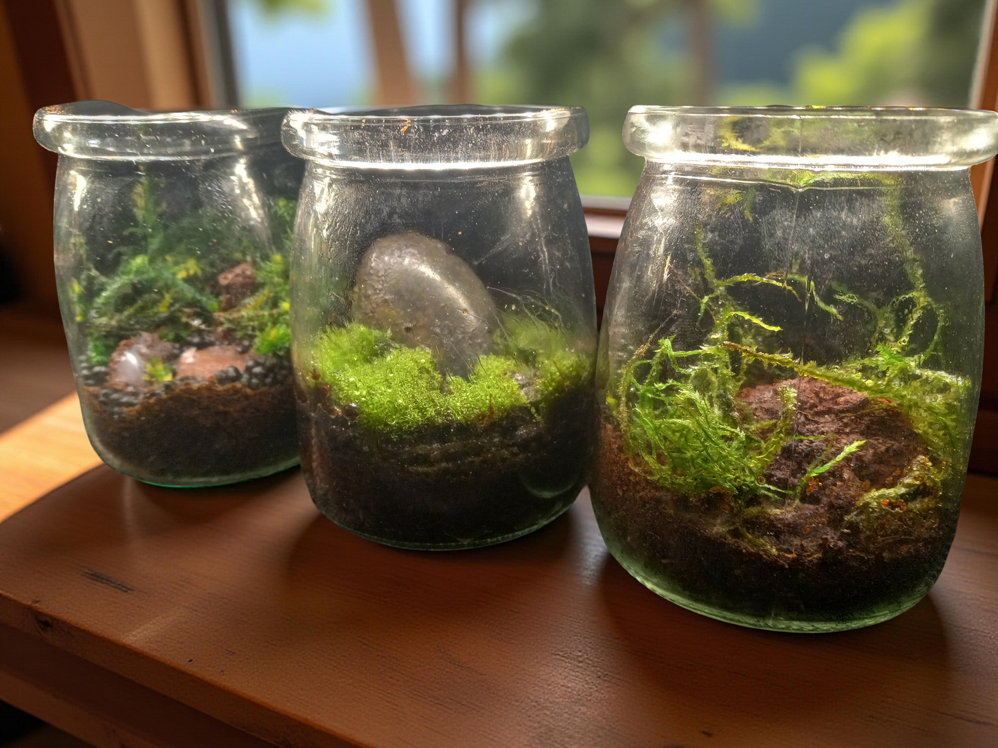 Mini-Terrariums