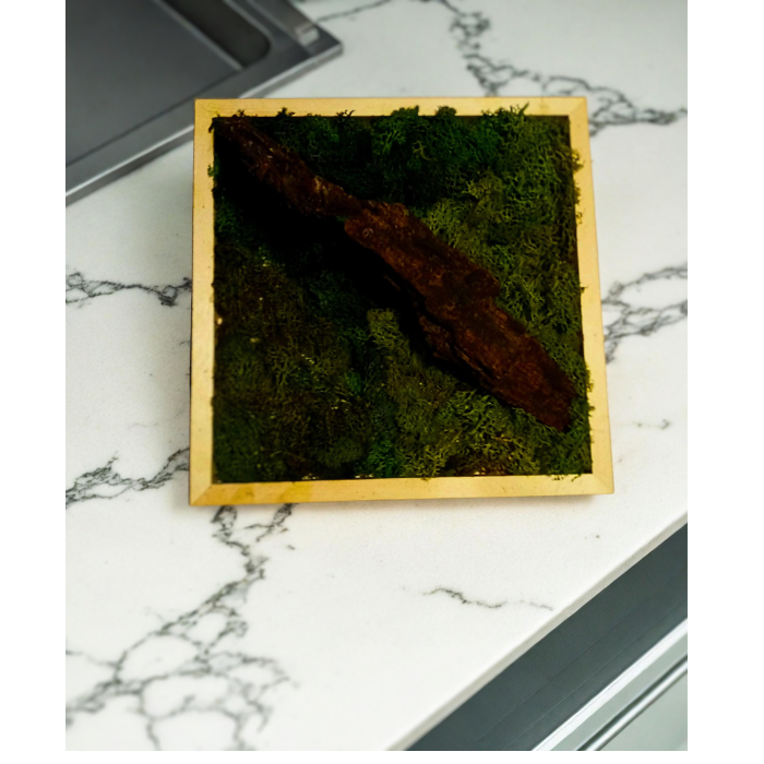 Ramping Wood Moss Wall