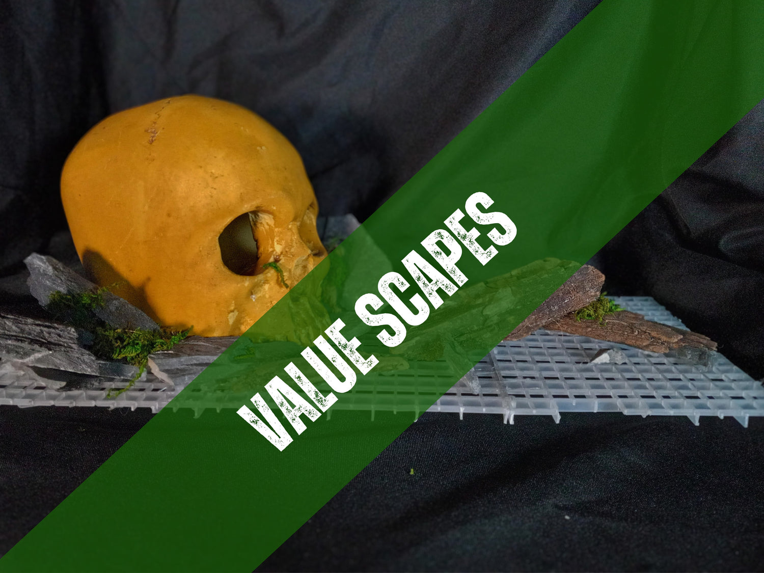 Value Scapes