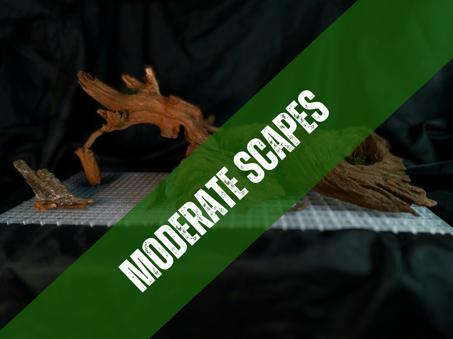 Moderate Scapes