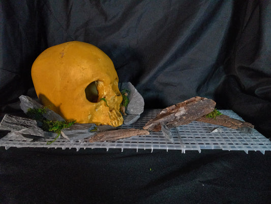 Stone Skull- 10 Gal pre-made Vivarium Scape