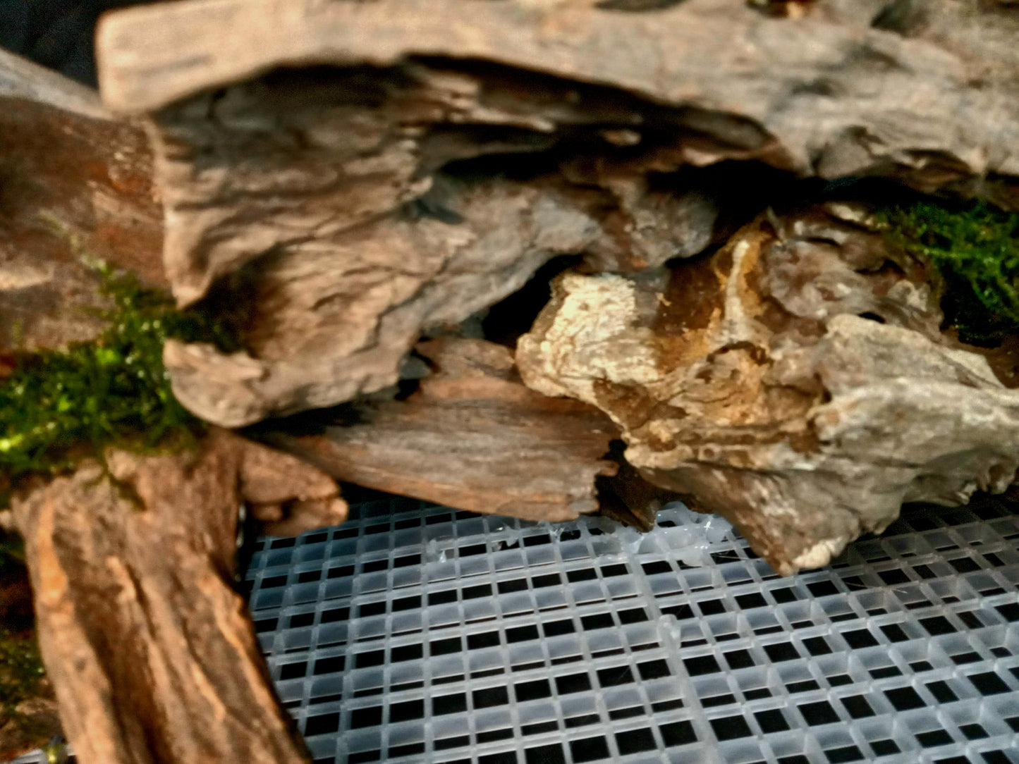 Malawi-20 Gal pre-made Aquascape