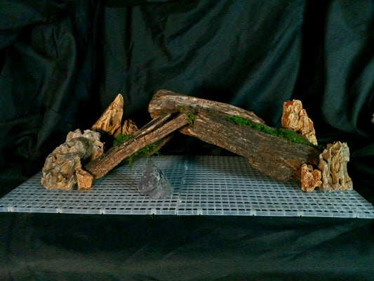 Mopani Grotto- 20 Gal pre-made Vivarium Scape