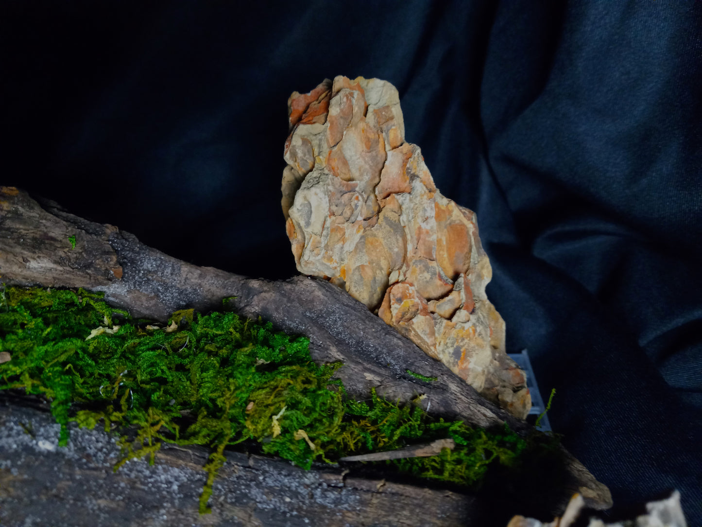 Mopani Grotto- 20 Gal pre-made Vivarium Scape